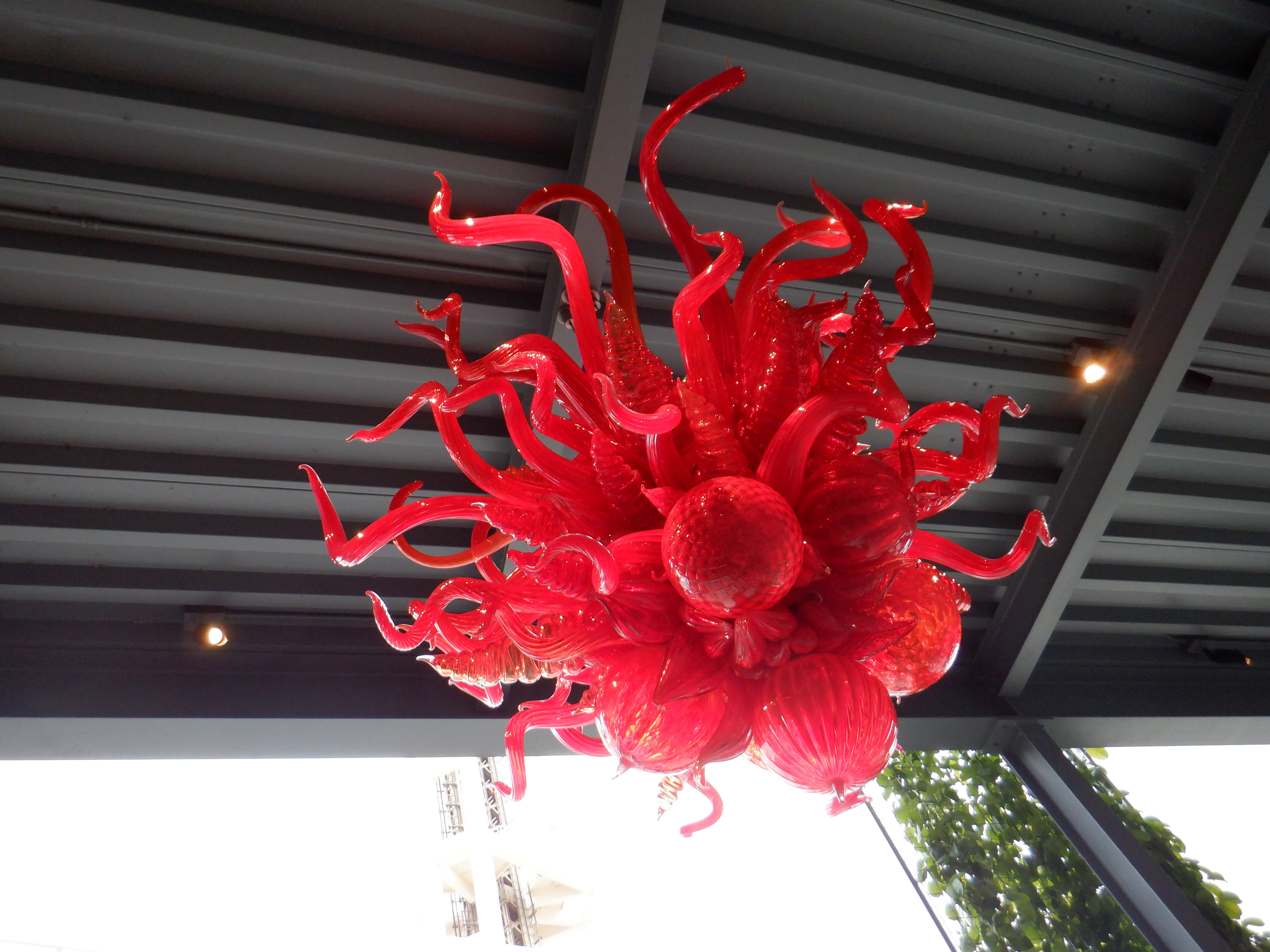 ./2020/03 - Seattle/DSCF1271.JPG